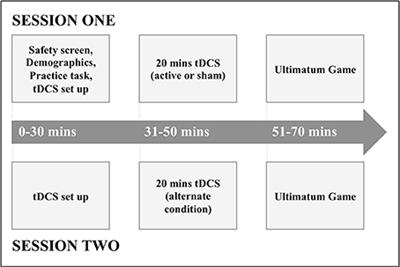 No Change in Social Decision-Making Following Transcranial Direct Current Stimulation of the Right Temporoparietal Junction